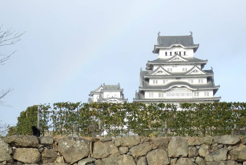 姫路城と黒猫